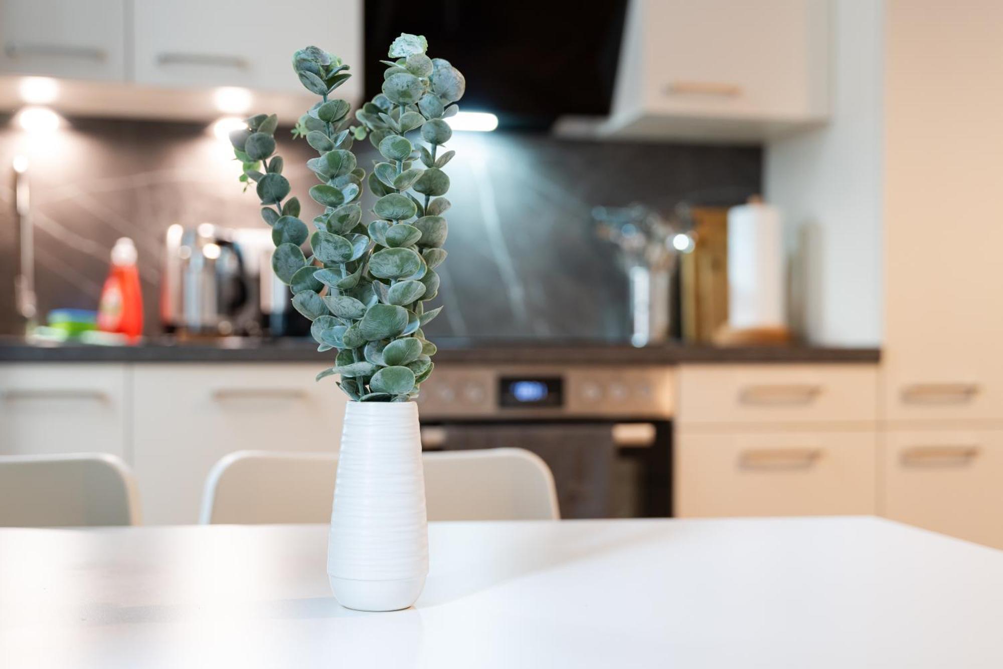 Vienna City Apartment 1020 ウィーン エクステリア 写真