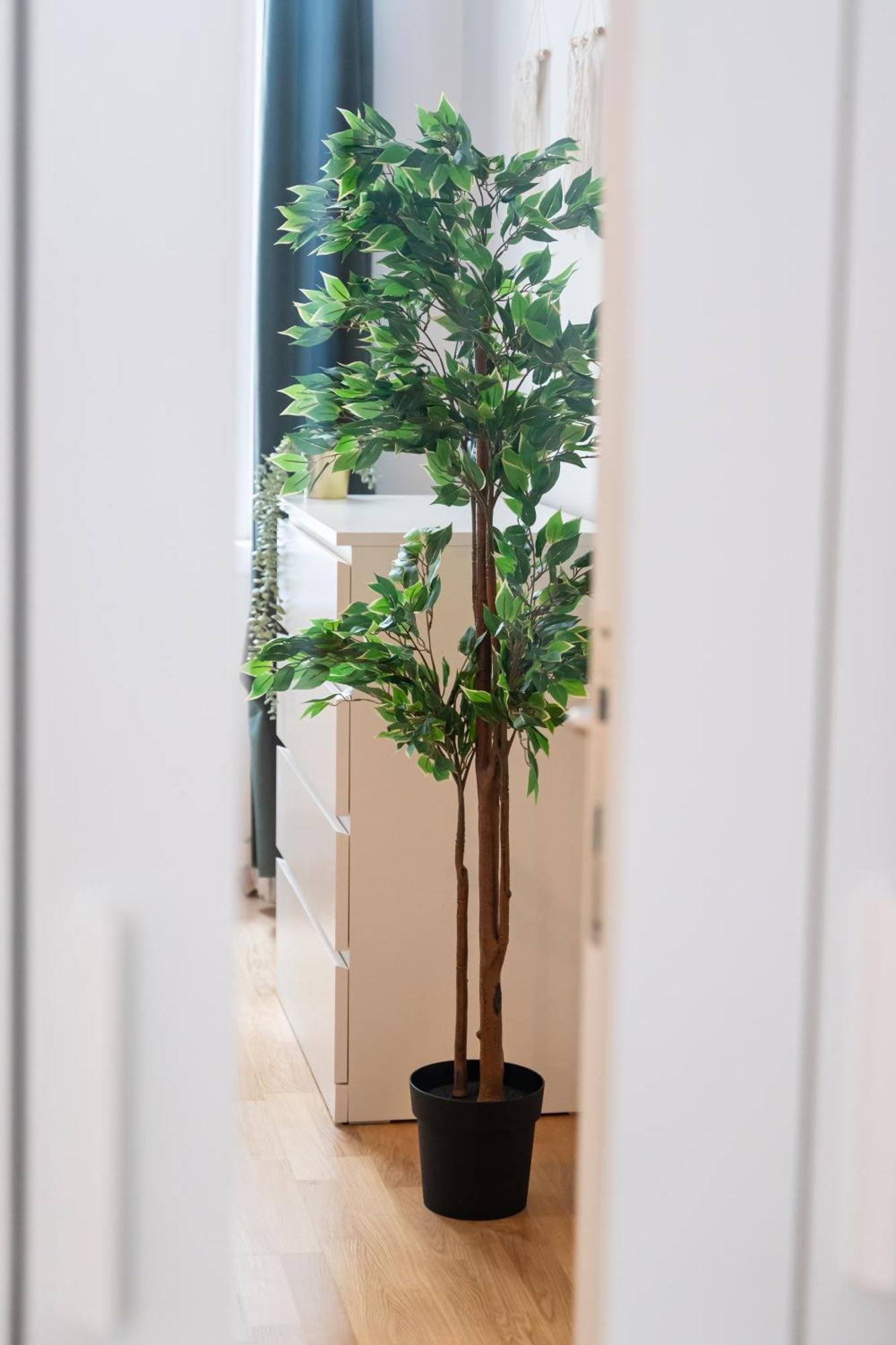 Vienna City Apartment 1020 ウィーン エクステリア 写真